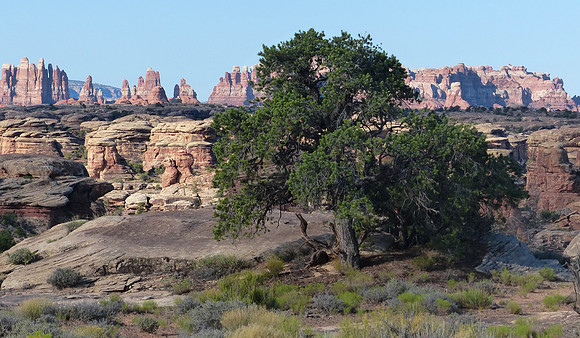 Canyonlands July 15 2016 (27)