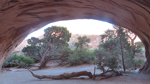 Devils Garden in Arches, Moab in Utah July 13 2016 (42)