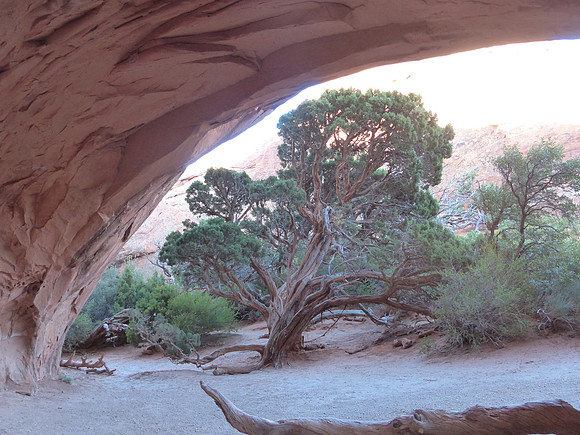 Devils Garden in Arches, Moab in Utah July 13 2016 (45)