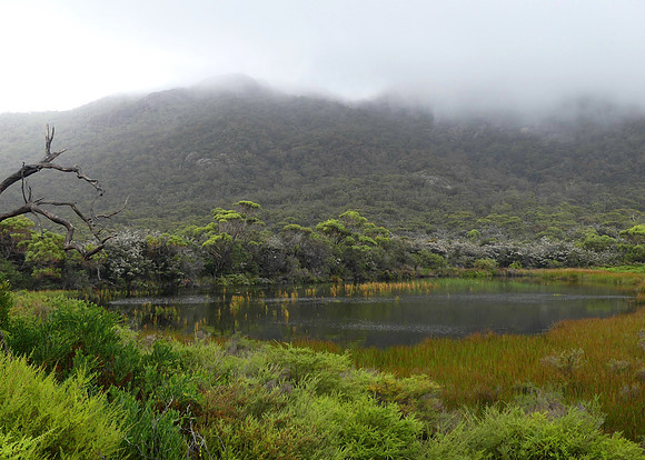 04 Wineglass Bay walk March 1 2022 (MS) (1)