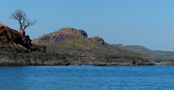 Sheep Island August 12 2015 (16)