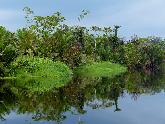 Sepik River April 1 2015 (76)