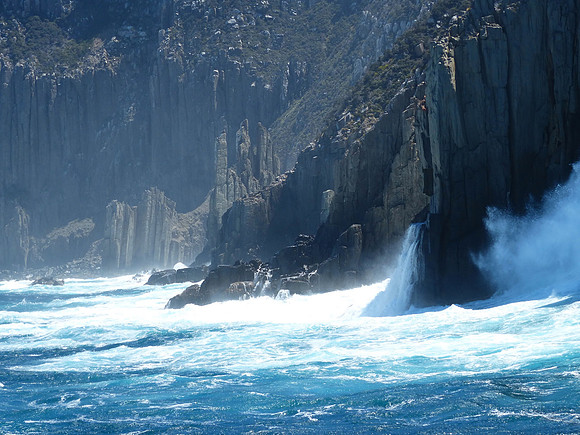 Tasman Island and environs Nov 22 2015 (24)