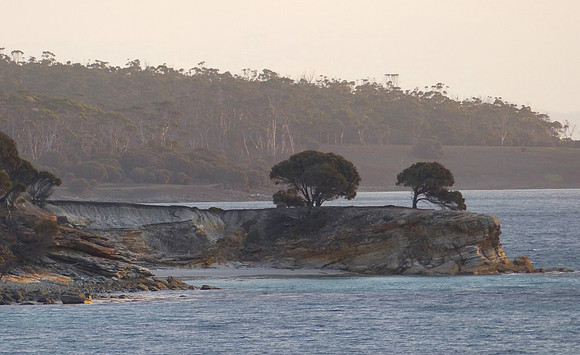 Maria Island Feb 7-14 2015 (141)
