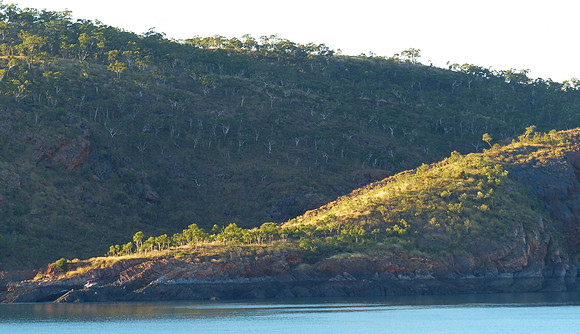 Nares Point June 28 2015 (6)