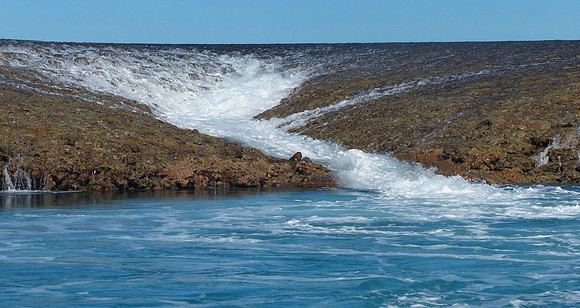 Montgomery Reef Sept 3 2015 (16)