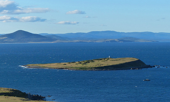 Maria Island Nov 21 2015 (12)