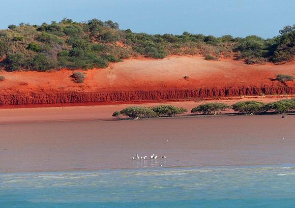 Broome June 8 2015 (9)