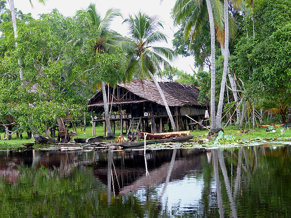 Sepik River April 1 2015 (80)