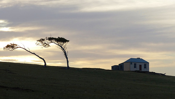 Maria Island Feb 7-14 2015 (116)