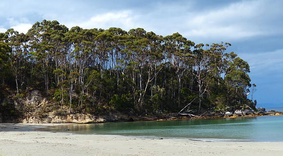 Advent Bay PM Nov 20 2015 (10)