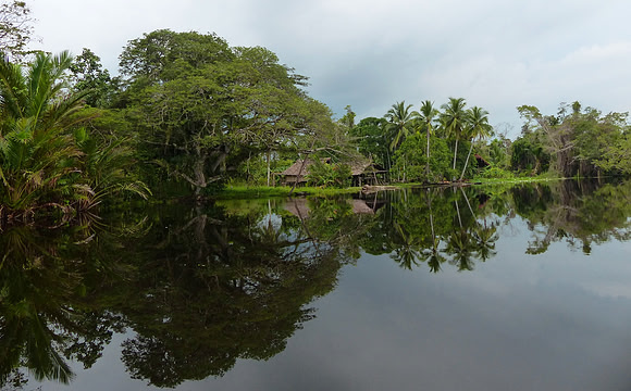 Sepik River April 1 2015 (79)