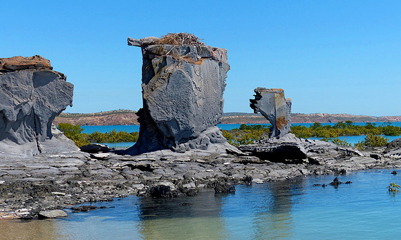 Edeline Island August 18 2015 (16)