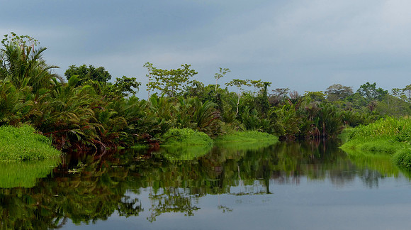 Sepik River April 1 2015 (74)