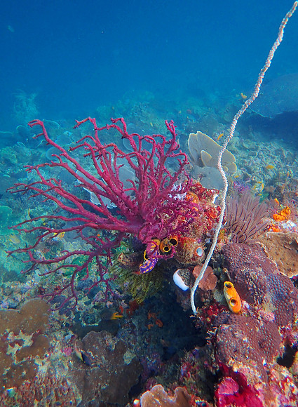 Aljui Bay Feb 1 2024 (14)
