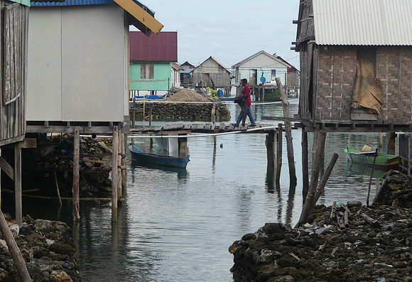 Hoga Island Dec 17 2022 (MS) (16)