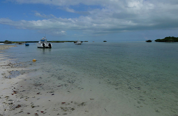 Aldabra Is Feb 8 2023 (MS) (2)