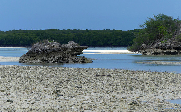 Aldabra Is Feb 8 2023 (MS) (3)