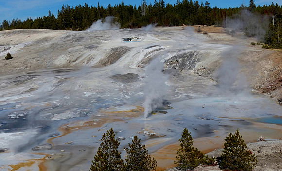 Norris HS Yellow stone NP Oct 3 2014 (28)