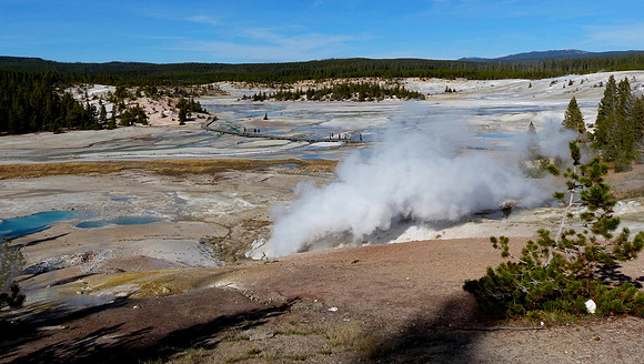 Norris HS Yellow stone NP Oct 3 2014 (5)