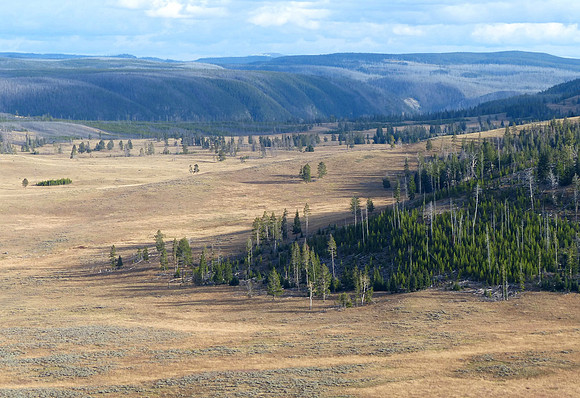 Yellow Stone NP Oct 5 2014 (1)