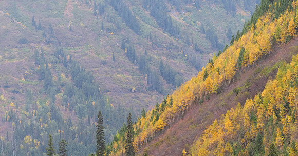 West Glacier NP Sept 27 2014 (46)