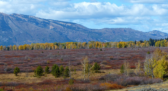 Tetons Wyoming Oct 5 2014 (52)