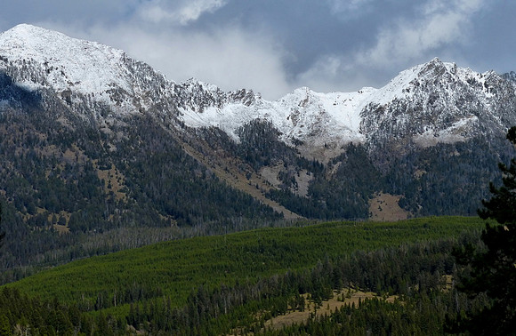 Jackass Creek Oct 2 2014 (21)