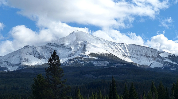 Jackass Creek Oct 2 2014 (37)