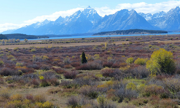 Tetons Wyoming Oct 5 2014 (35)