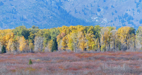 Tetons Wyoming Oct 5 2014 (55)