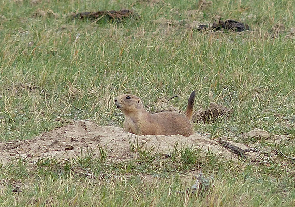 King Ranch Montana Sep20 2014 (48)
