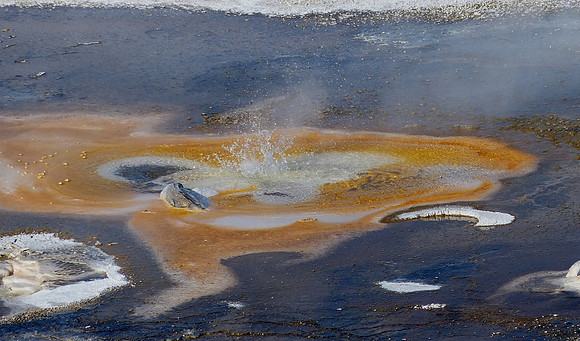 Norris HS Yellow stone NP Oct 3 2014 (30)