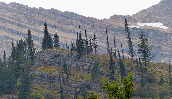 West Glacier NP Sept 27 2014 (27)