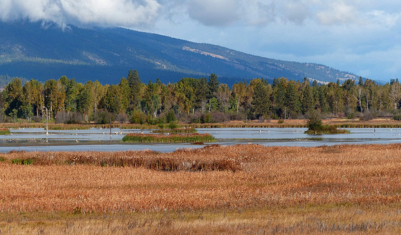 Metcalf Wildlife Refuge Montana Sep 30 2014 (65)
