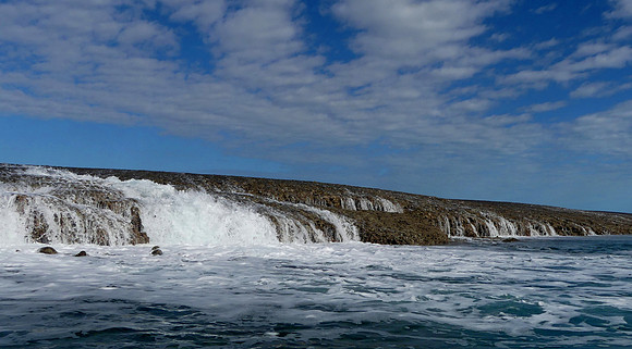 Montgomery Reef Aug 31 2018 (45)
