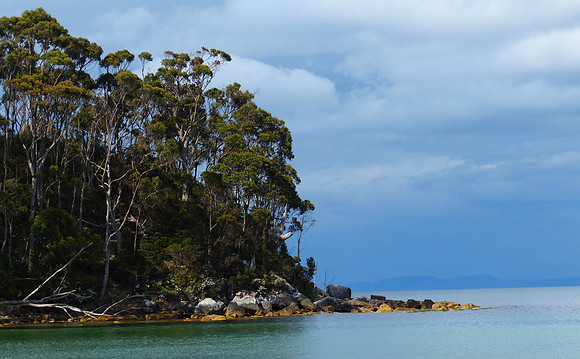 Advent Bay PM Nov 20 2015 (13)